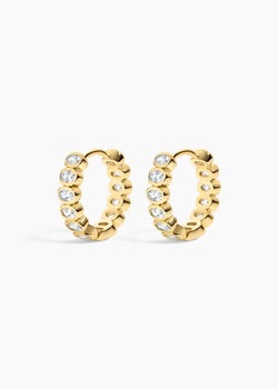 Champagne Hoops - Electric Picks