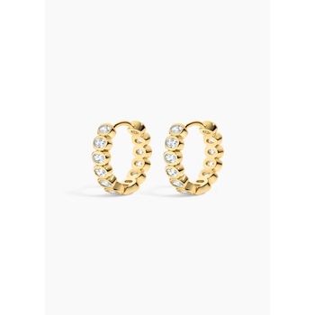 Champagne Hoops - Electric Picks