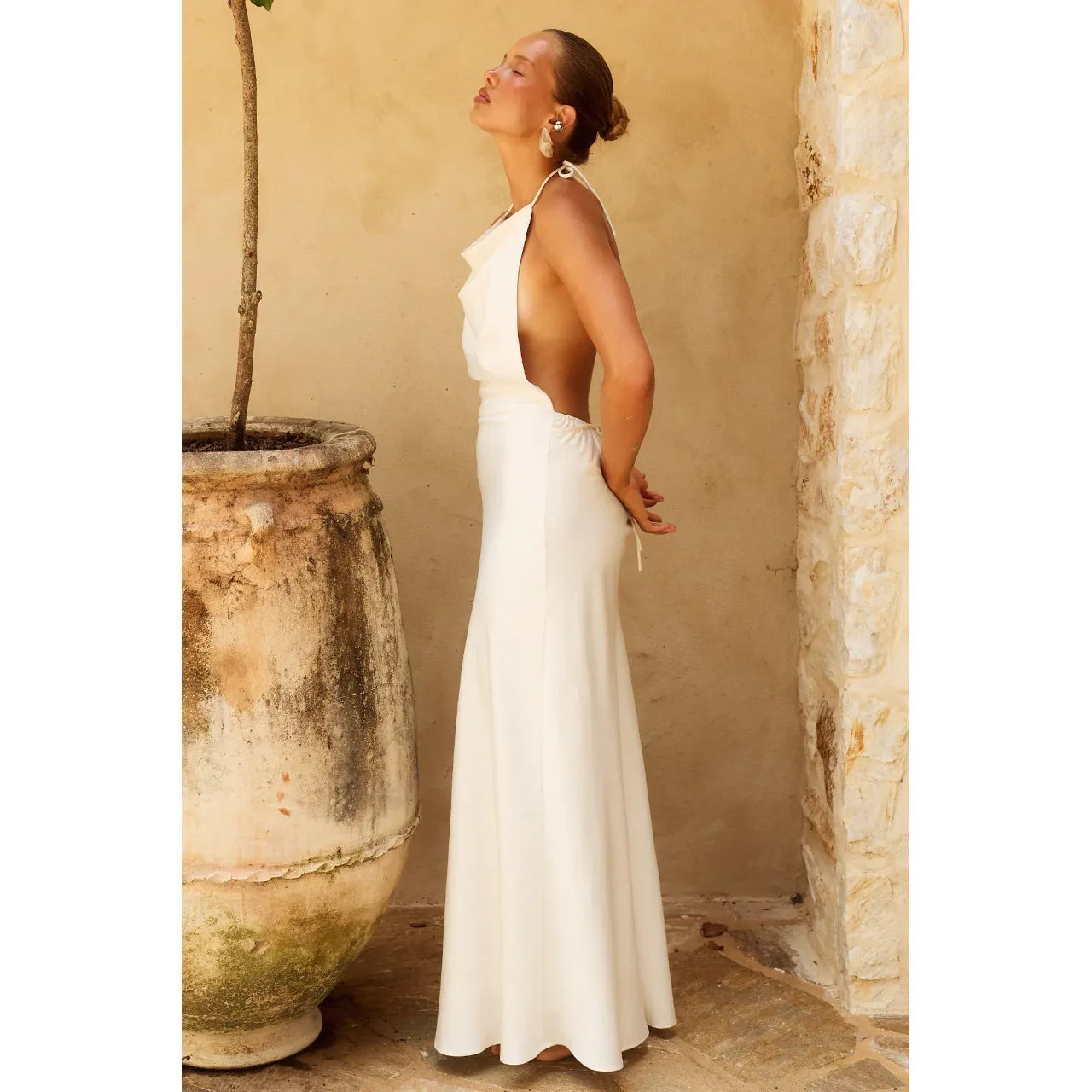 Jelena Halter Maxi Dress