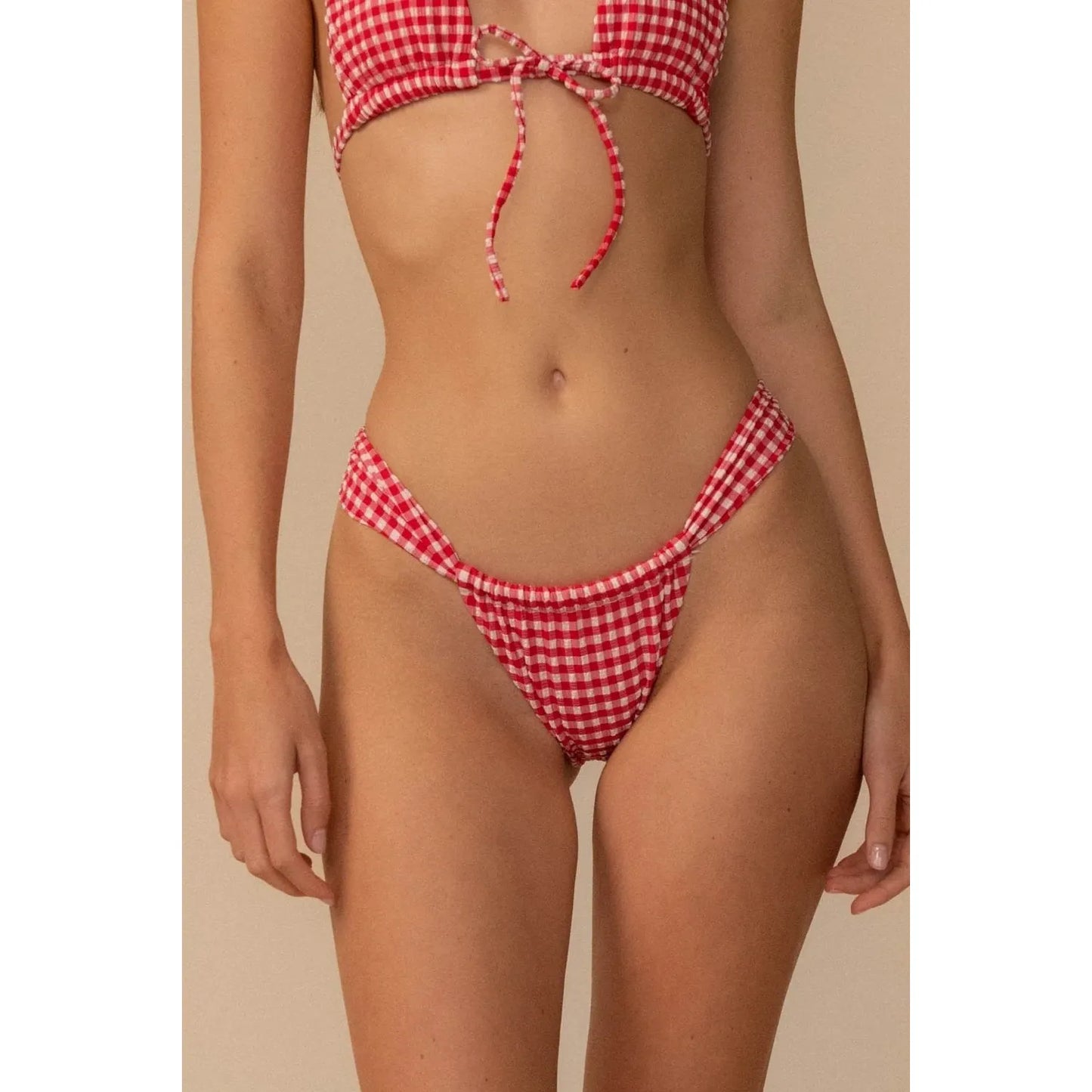 Red Micro Gingham Sandra Bikini Bottom